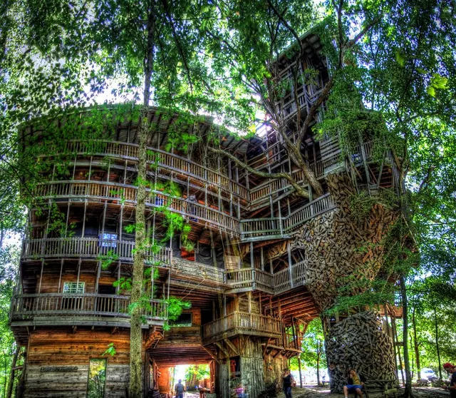 Une halte insolite au milieu des arbres