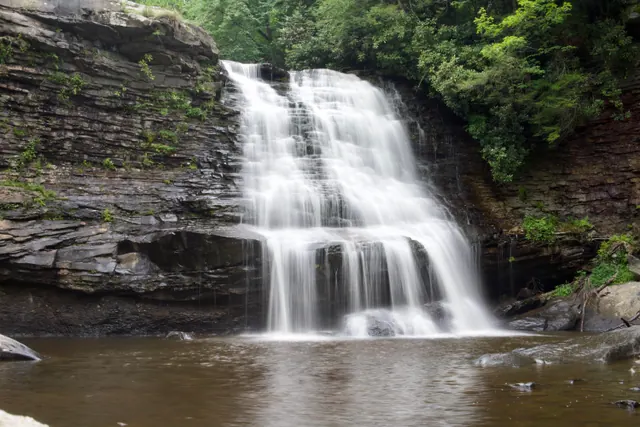 Une cascade au cœur de la forêt