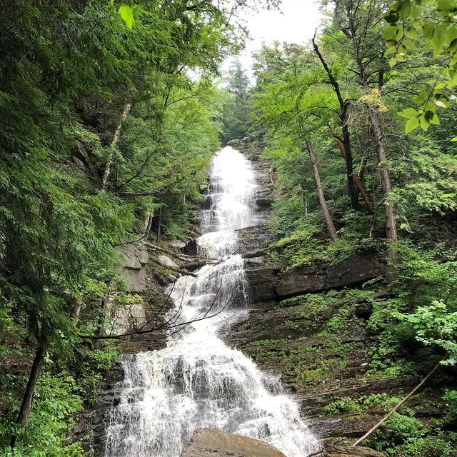 Une cascade au milieu des arbres