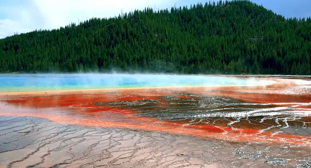 Les sources chaudes de Yellowstone